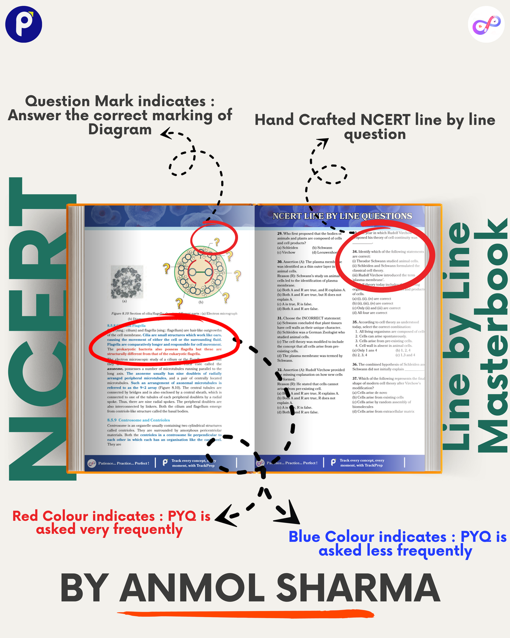 Class 11 Biology – NCERT Line-by-Line Masterbook Pack of 5
